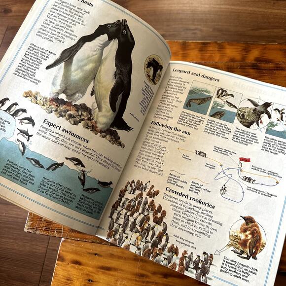 Vintage 1994 Usborne World Wildlife Polar Wildlife Paperback Book - Picture 4 of 7